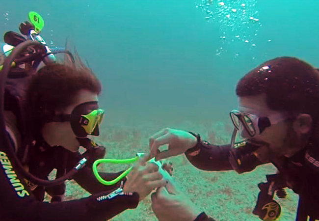 Proposta di matrimonio sott'acqua a sharm el sheikh