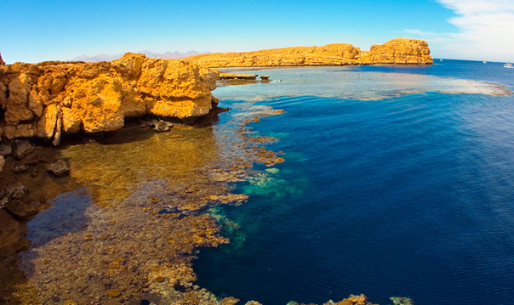 Il Parco Nazionale di Ras Mohammad via terra – Mezza giornata