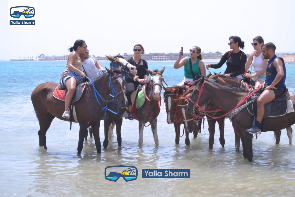 Passeggiate a Cavallo a Sharm El Sheikh