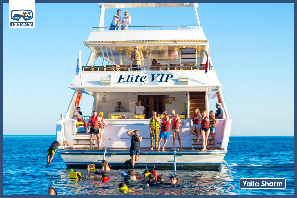 Escursione a White Island e Ras Mohamed con Elite Vip Cruise con pranzo