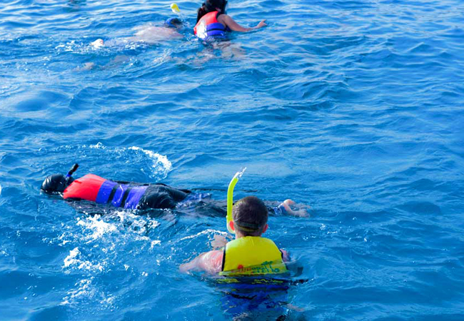 White Island & RAS MOHAMMED National Park By Boat, Red Sea