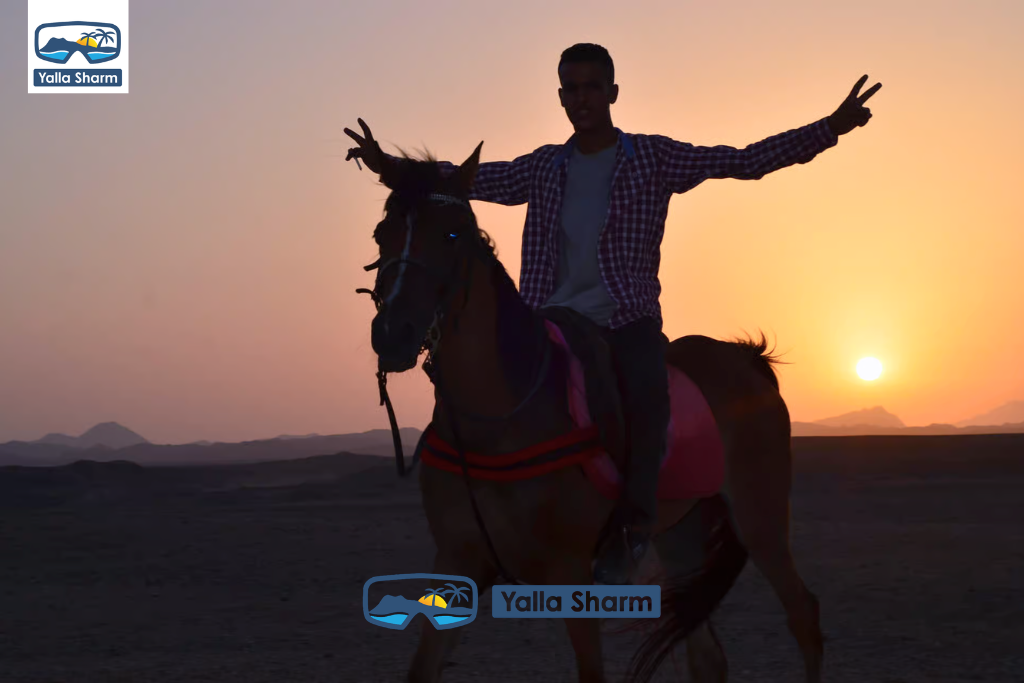 Passeggiate a Cavallo a Sharm El Sheikh