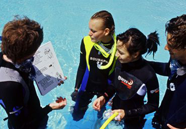PADI Discover Scuba Diving In Sharm El Sheikh