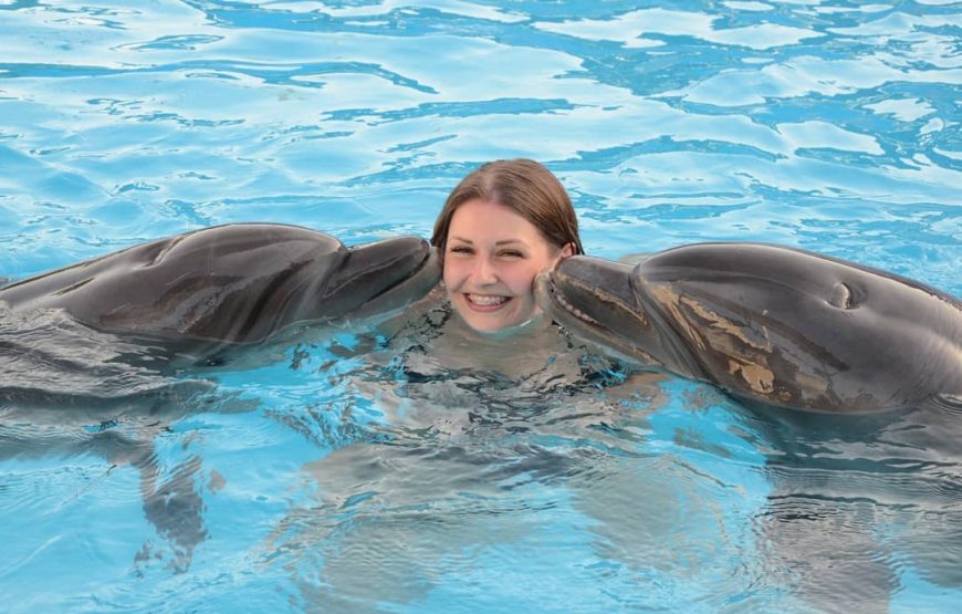 Nuotare con i Delfini a Sharm El Sheikh.