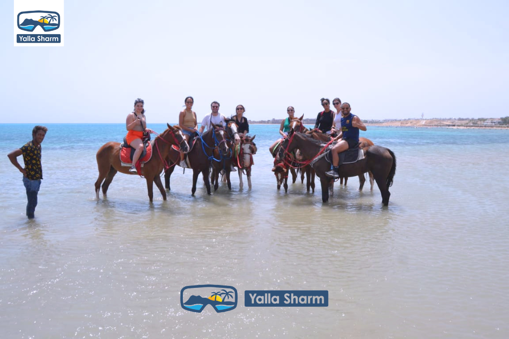 Passeggiate a Cavallo a Sharm El Sheikh