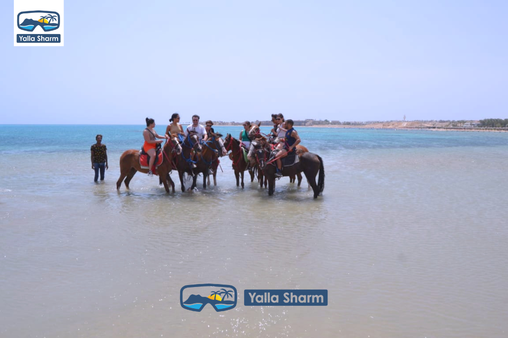 Passeggiate a Cavallo a Sharm El Sheikh