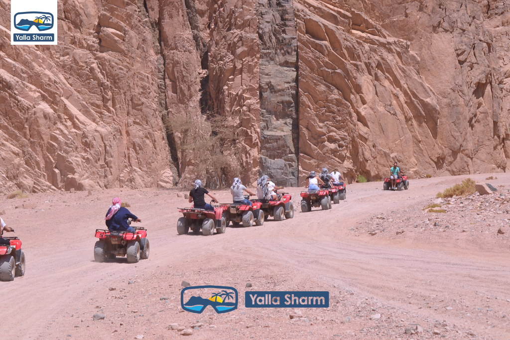 Giro in quad ad ATV a Dahab