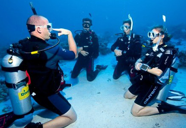 PADI Open Water Diver Course in Sharm El Sheikh