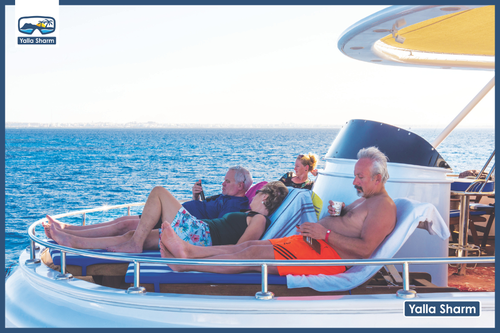 Escursione a White Island e Ras Mohamed con Elite Vip Cruise con pranzo