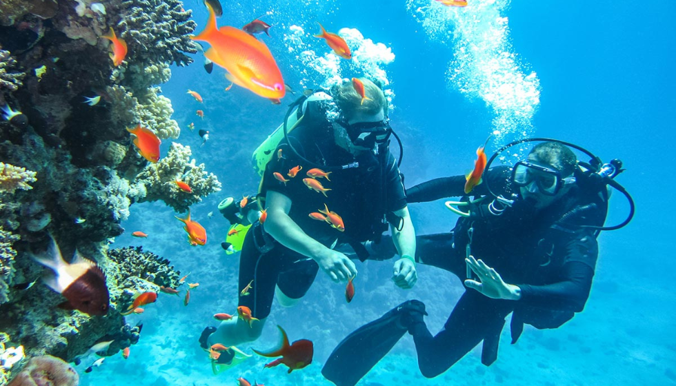 Sharm El Sheikh'te Kıyıdan Dalış Girişi