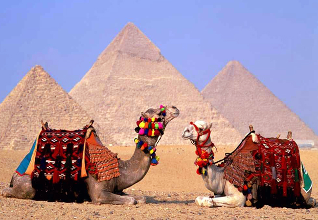 Cairo & Pyramids by bus from Sharm el Sheikh One Day