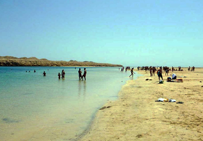 Il Parco Nazionale di Ras Mohammad via terra – Mezza giornata