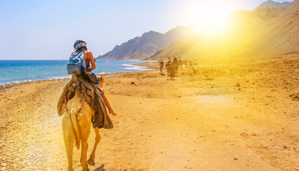 Escursione Il Buco Blu 6 in 1 saldi Da sharm el sheikh