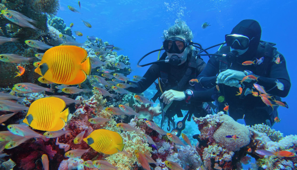 Sharm El Sheikh'te Kıyıdan Dalış Girişi