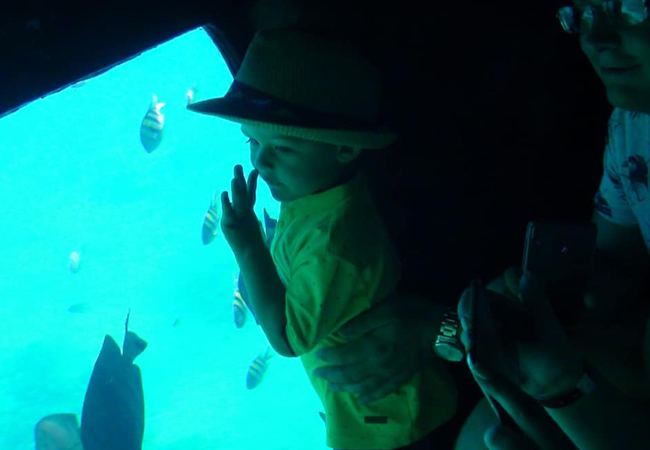Sea Scope Semi Submarine Sea Trip in Sharm El Sheikh