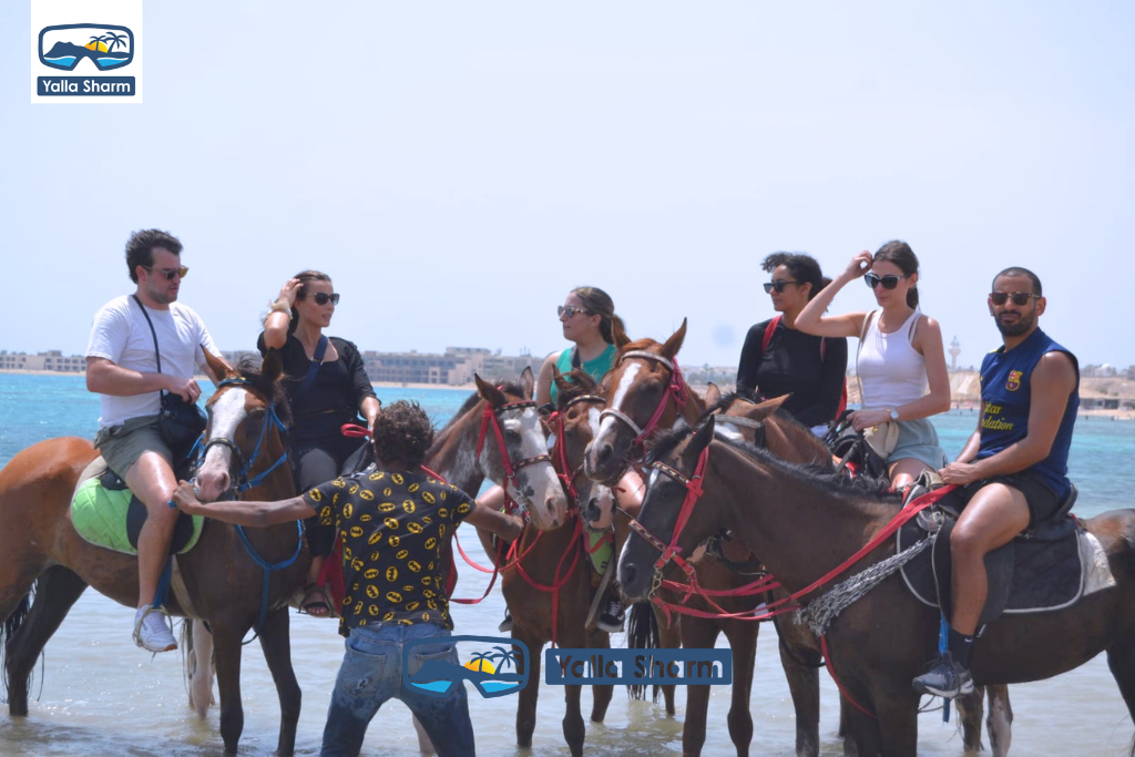 Passeggiate a Cavallo a Sharm El Sheikh