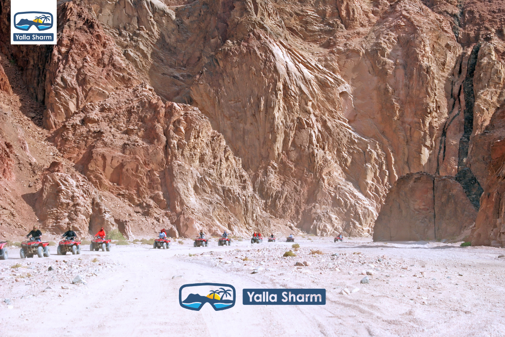 Giro in quad ad ATV a Dahab
