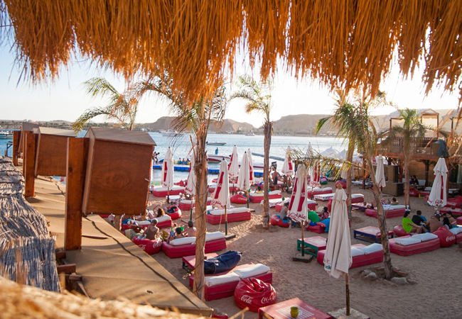 Mega Safari Desert And Red Sea Day Tour