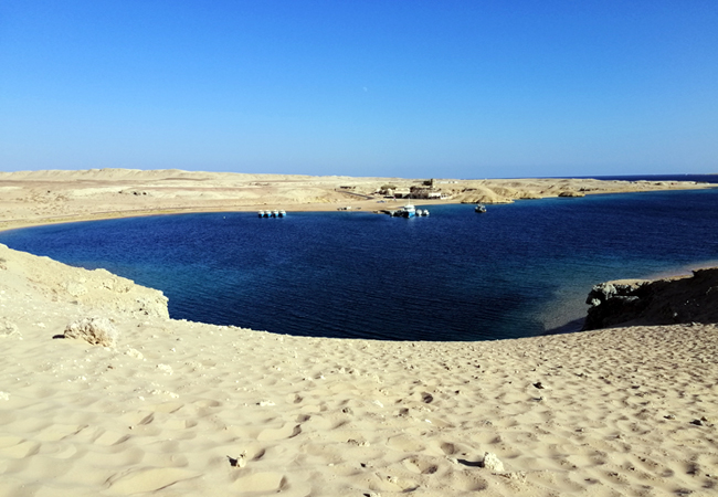 Il Parco Nazionale di Ras Mohammad via terra – Mezza giornata