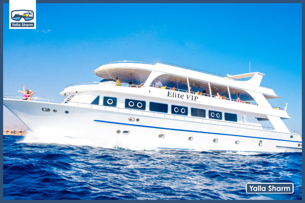 Escursione a White Island e Ras Mohamed con Elite Vip Cruise con pranzo