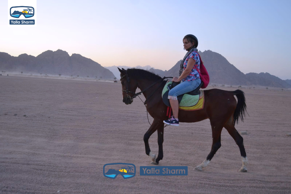 Passeggiate a Cavallo a Sharm El Sheikh