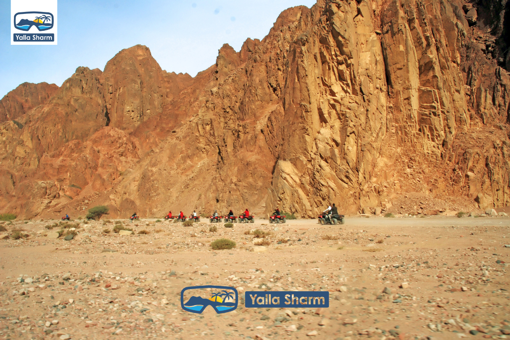 Giro in quad ad ATV a Dahab