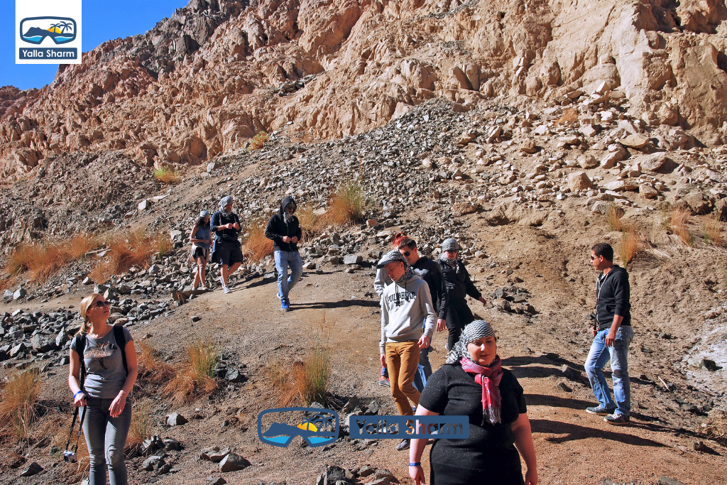 Giro in quad ad ATV a Dahab